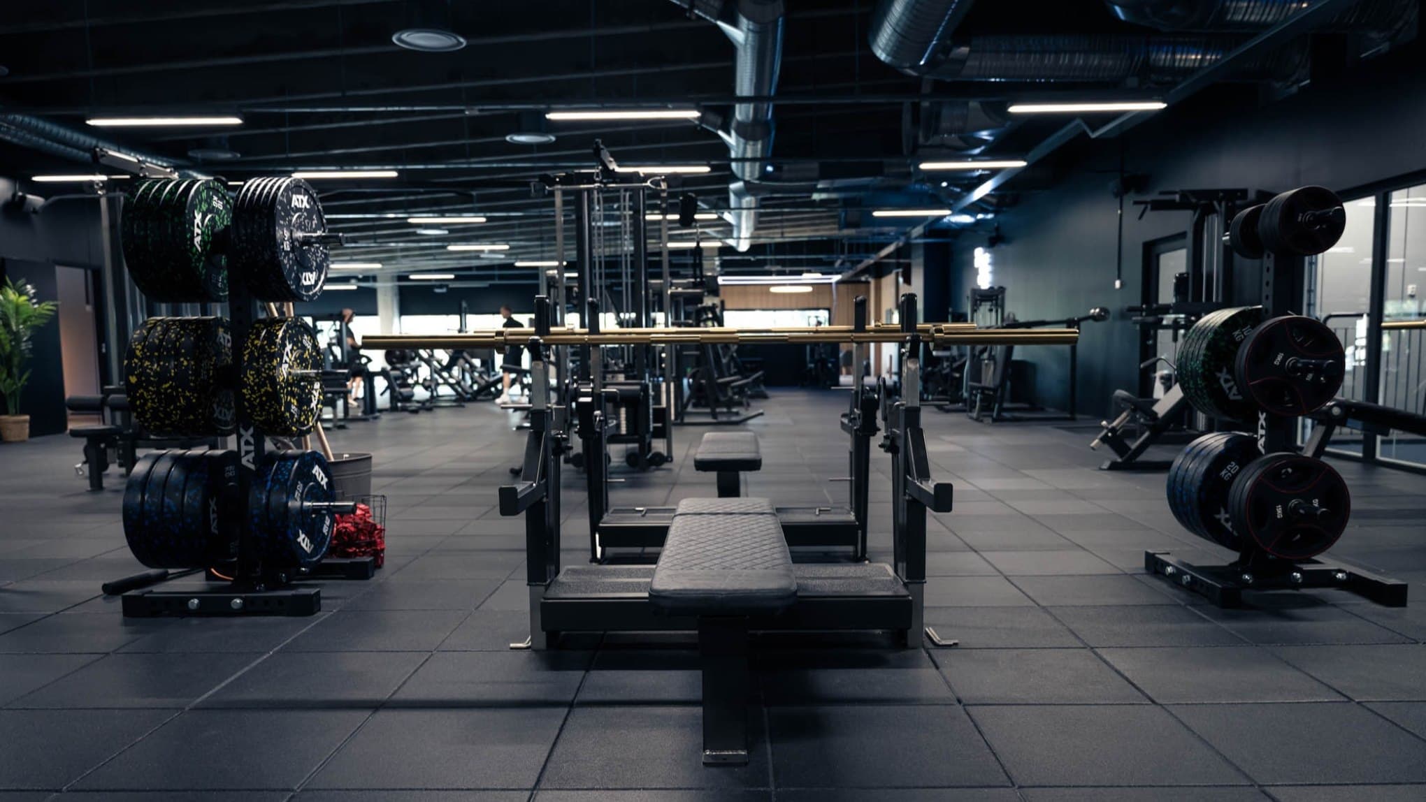 PuroOlefit-8_alakuva